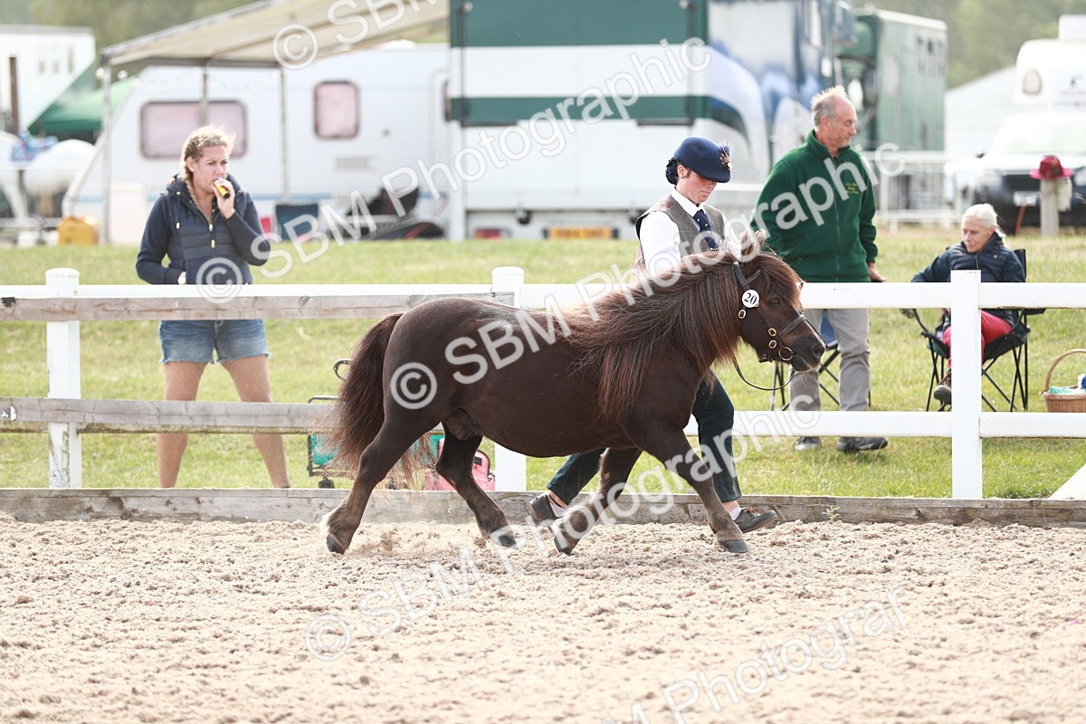 SBM_13870 - Class 209 IH Veteran Pony