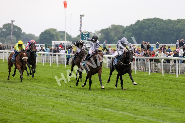 160524-Race 6-Andesite-1958 - Race 6 4.45pm Frank Whittle Partnership ebfstallions.com Novice Stakes