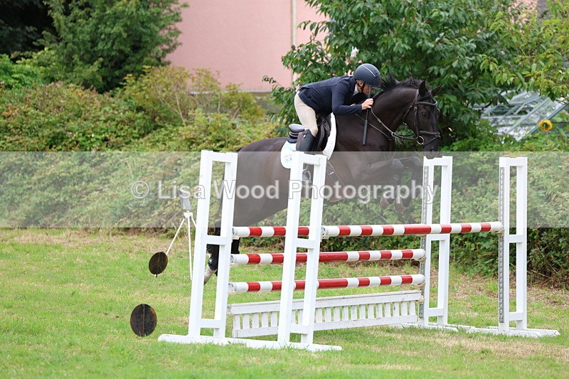 3E7A8416 - Class 8: Senior Foxhunter/1.20m open