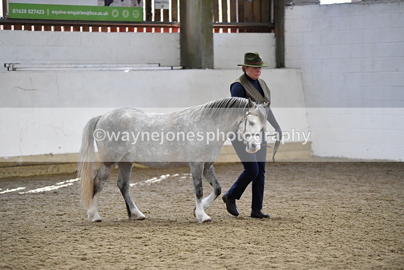 WJ5_5402 - Class 4 In hand M&M - small breeds