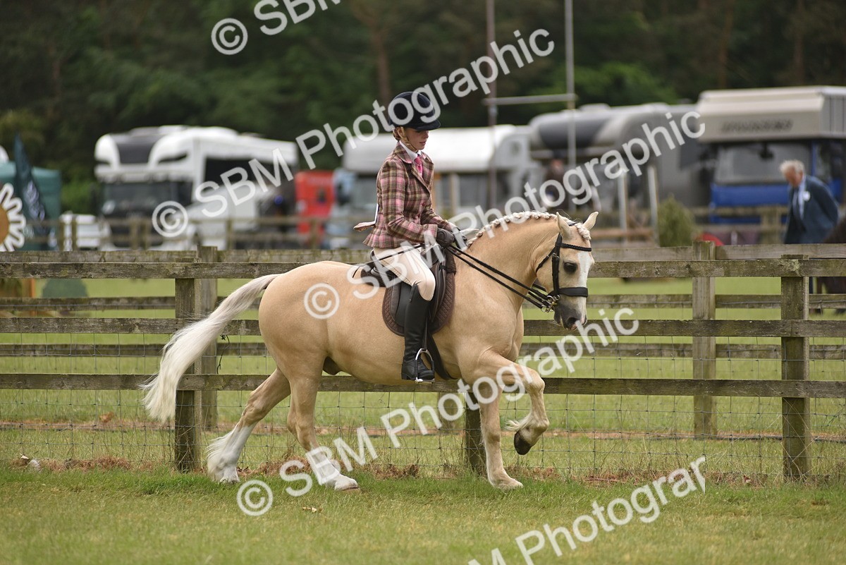 SBM_11998 - Class 110-112 - LIHS BSPS Performance Pones