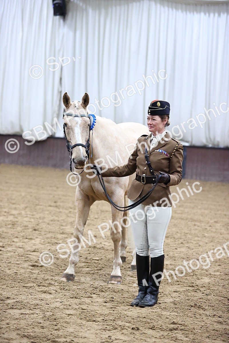 SBM_5229 - Class 39 - In Hand Gelding