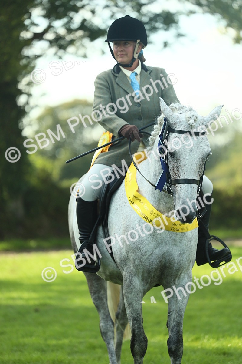 SBM_52334 - Working Hunter Supreme Championship