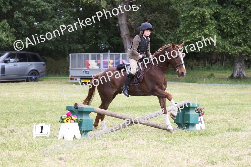 20260614-2725 - Class 22 - Open Working Hunter
