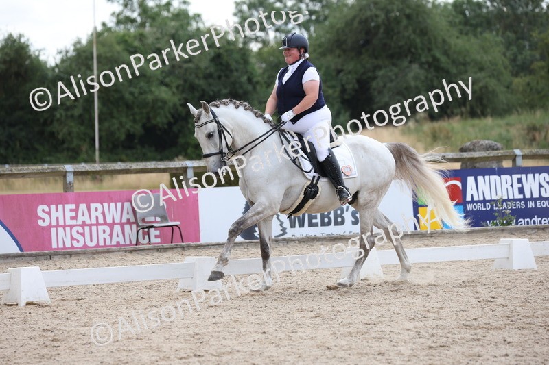 20250706-0454 - Class 17 - Elementary 5