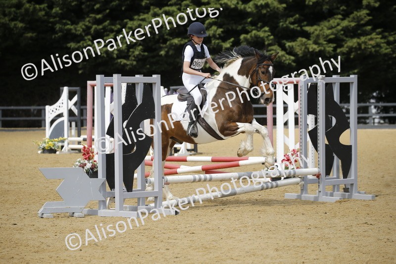 20250622-3885 - 50cm