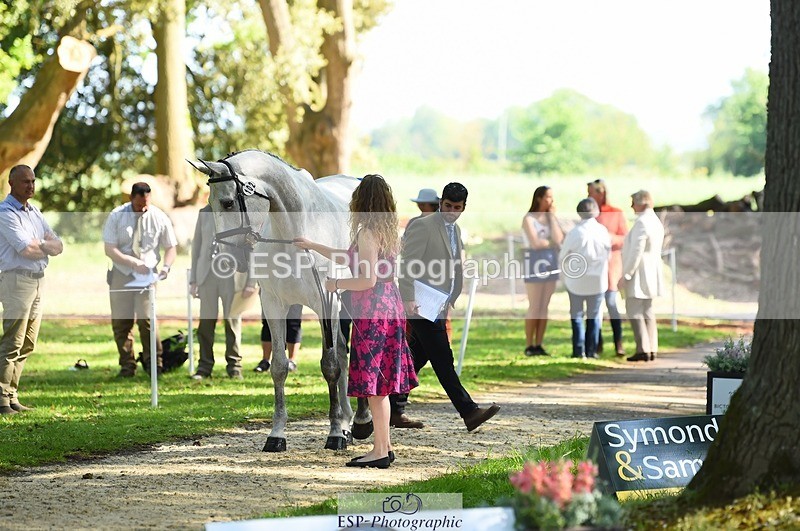 230524-162608-00862 - 102-BANDITO_VAN_POLDERZICHT-Grace_Taylor-WEDTrotUp+DR