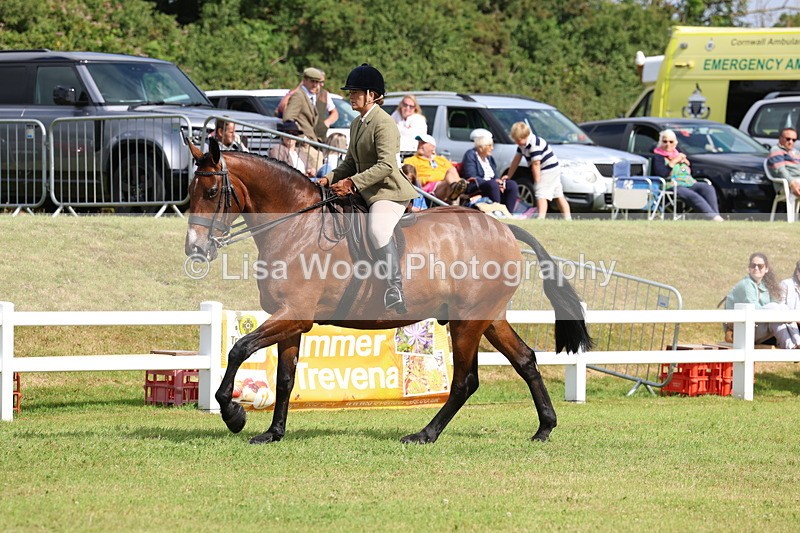 3E7A9344 - Class 4: Rising Star M/H Hunter