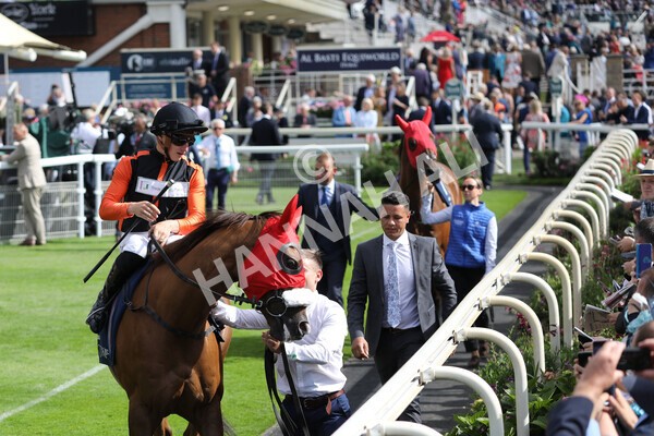 yr19082022r4-37 - Race 4 3.35pm Coolmore Wootton Bassett Nunthorpe Stakes (British Champion Series Race)