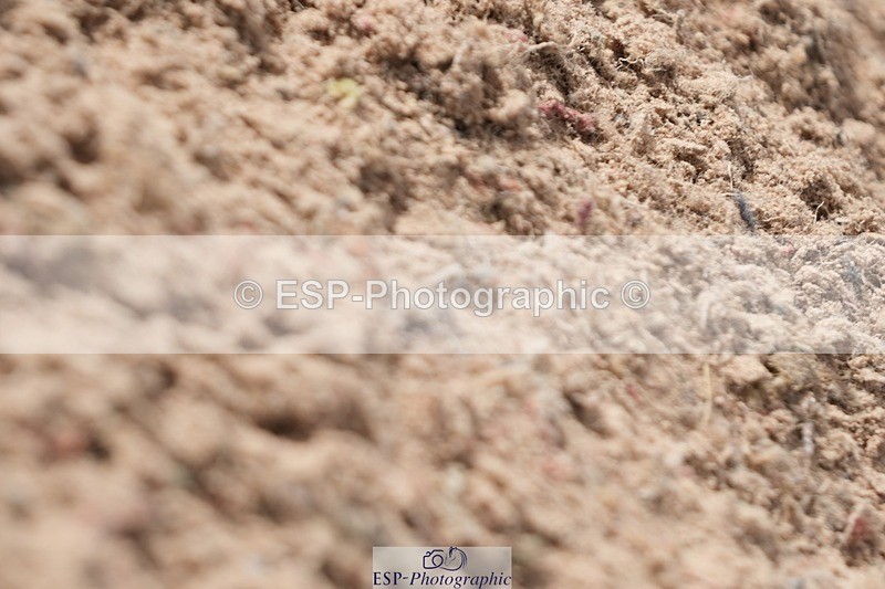 250921-135746-03432 - Cls 15-17 CoH 90cm, 1m and 1.10m