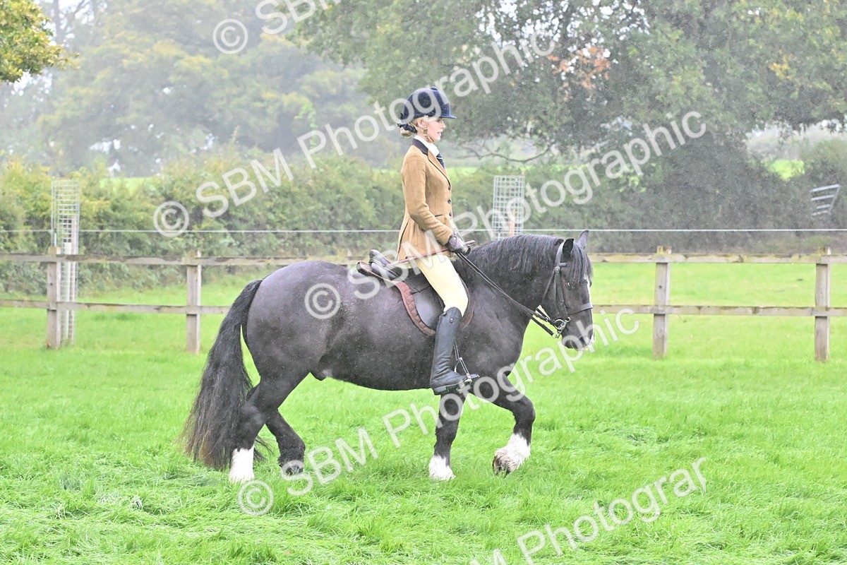 SBM_72404 - S43 - Ridden Equitation Best Rider