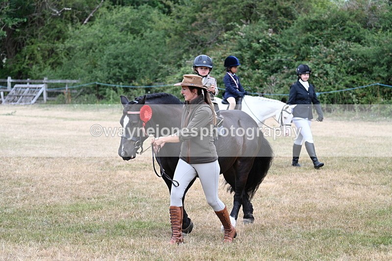 WJ7_9963 - Class 1 Lead Rein Pony