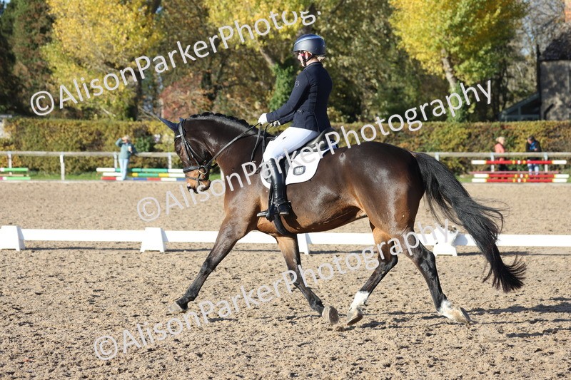 20251102-1211 - Class 7 - Medium 5