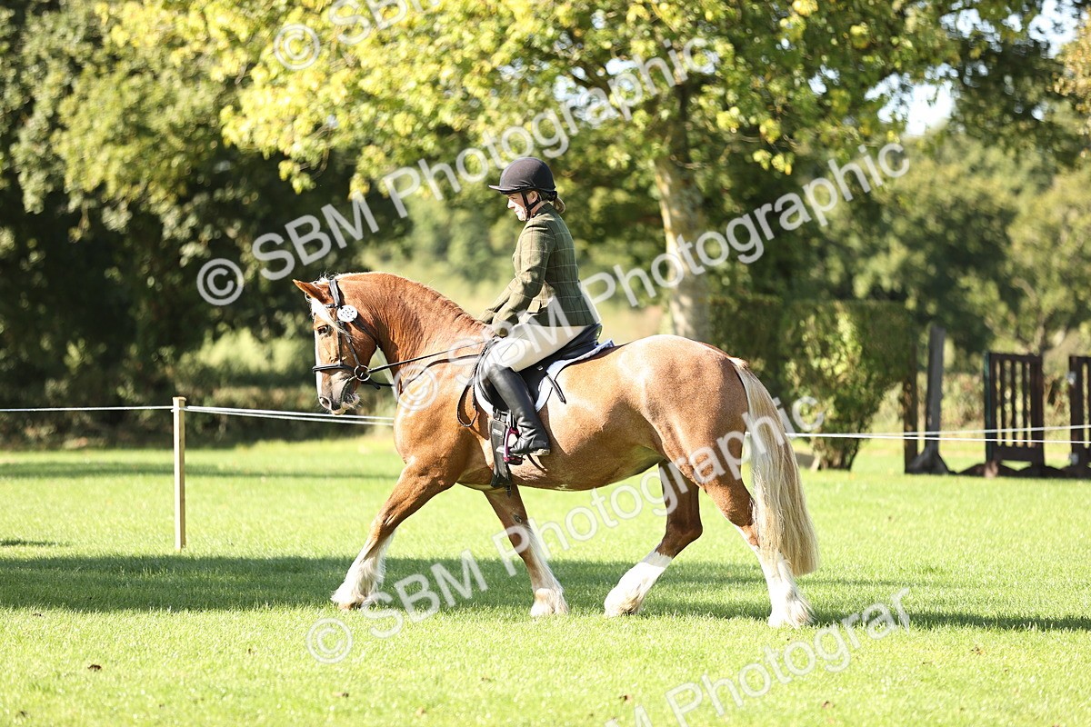 SBM_16916 - S2 - TSR Ridden Pony Showing