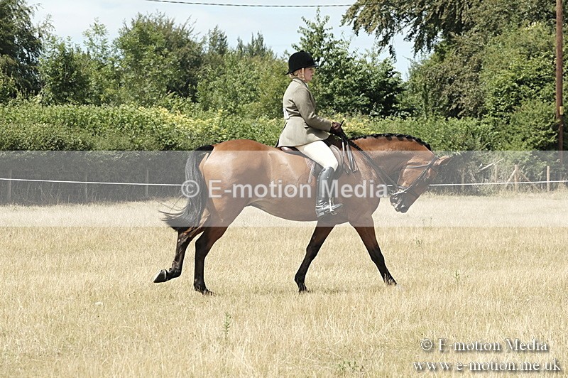 _PJP6009 - BVRC Show 2018 Ring 1