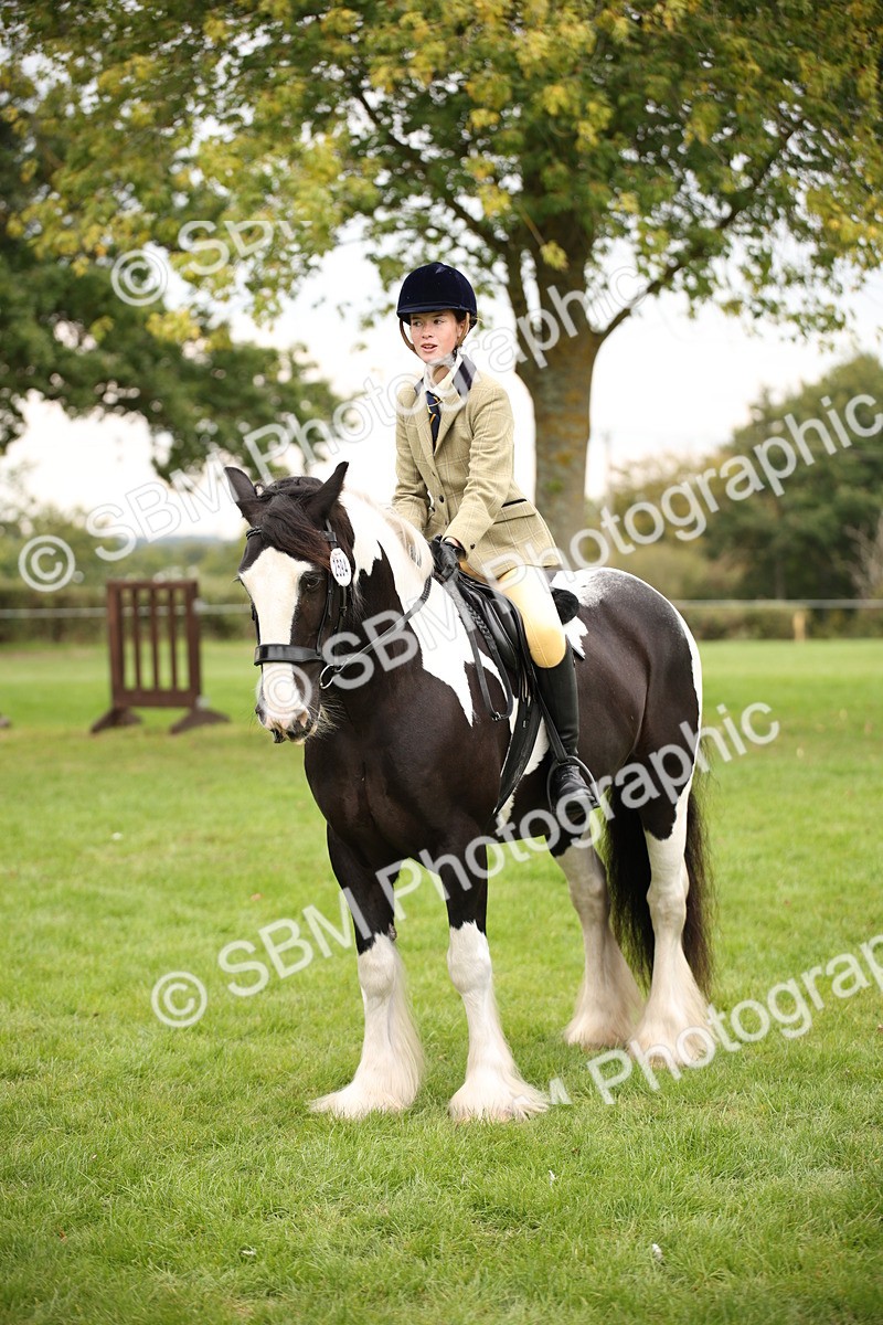 SBM_73516 - S68 - Traditional Cob Ridden