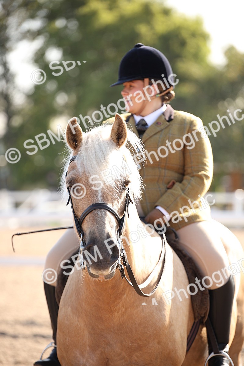 SBM_00698 - Class 14 Ridden M&M Wildcard