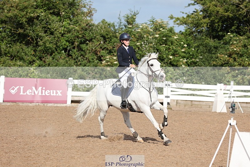 240629A-083343-02606 - Cls 16 British Novice and 80cm Open