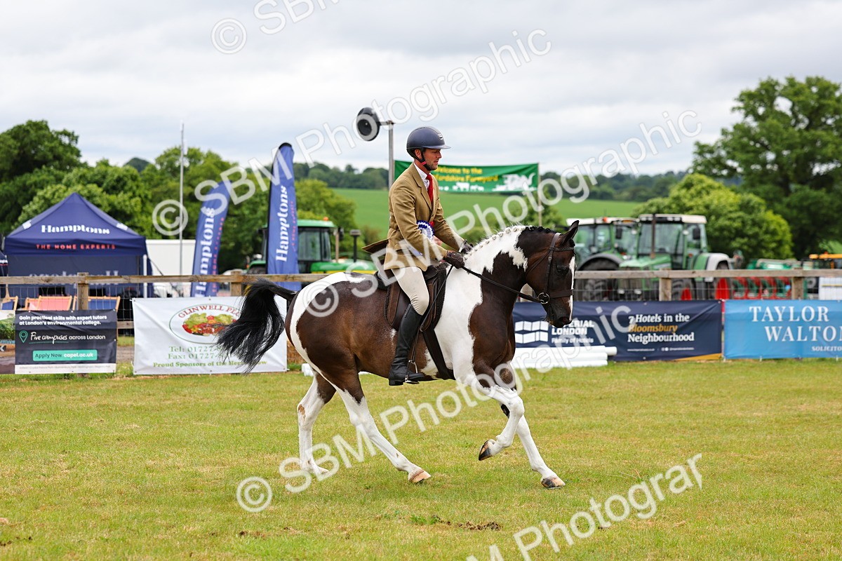 SBM_02673 - Class 9-11 Side Saddle including LIHS Rising Star Ladies Show Horse