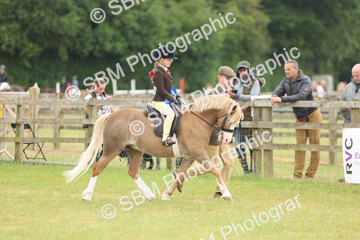 SBM_06939 - Class 74-75 - M&M Lead Rein and First Ridden Pony