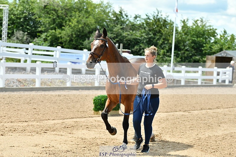 230719A-130619-00279 - Trot Up 1pm to 2pm