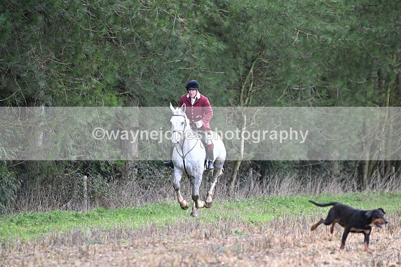 WJ6_9456 - Line Four