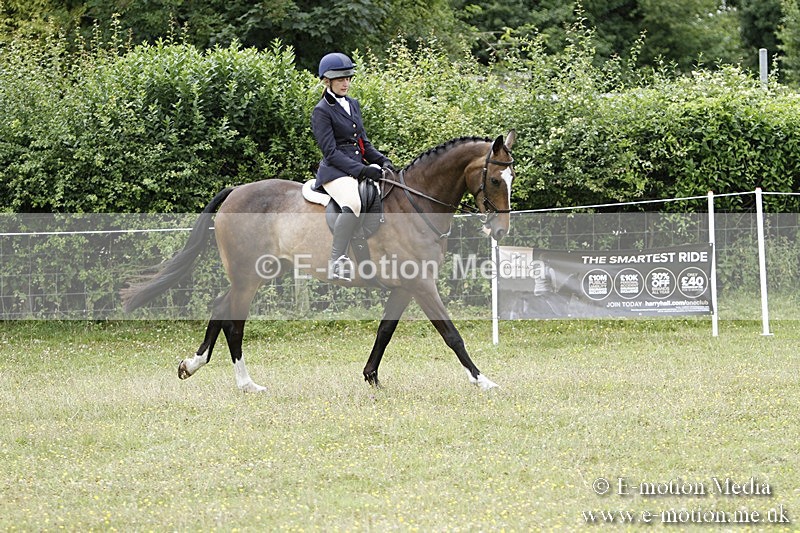 BVR160717-2286 - Working Hunter Championship 16/07/17