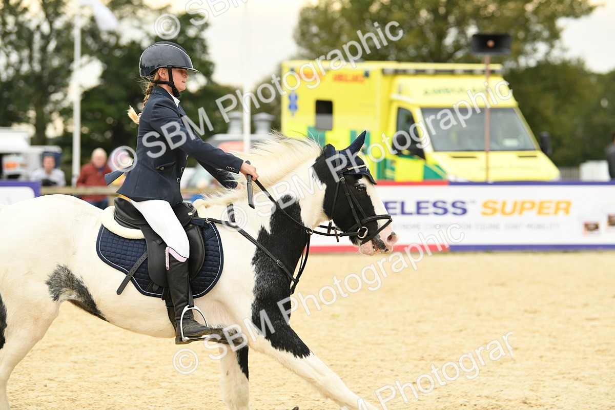 SBM_73143 - J16 - Junior Pony 75cm Championship