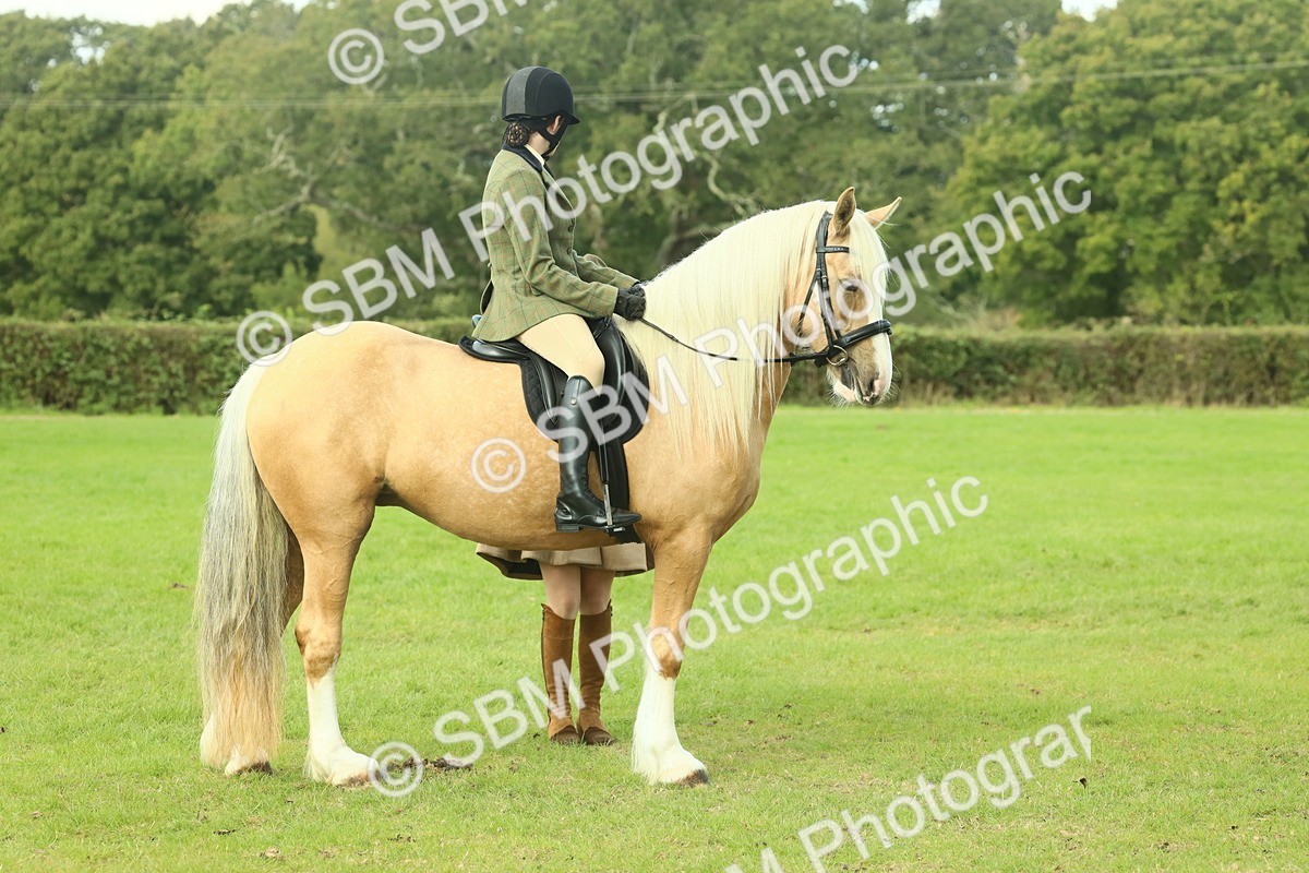 SBM_62634 - S63 - Other Coloured Horse Ridden