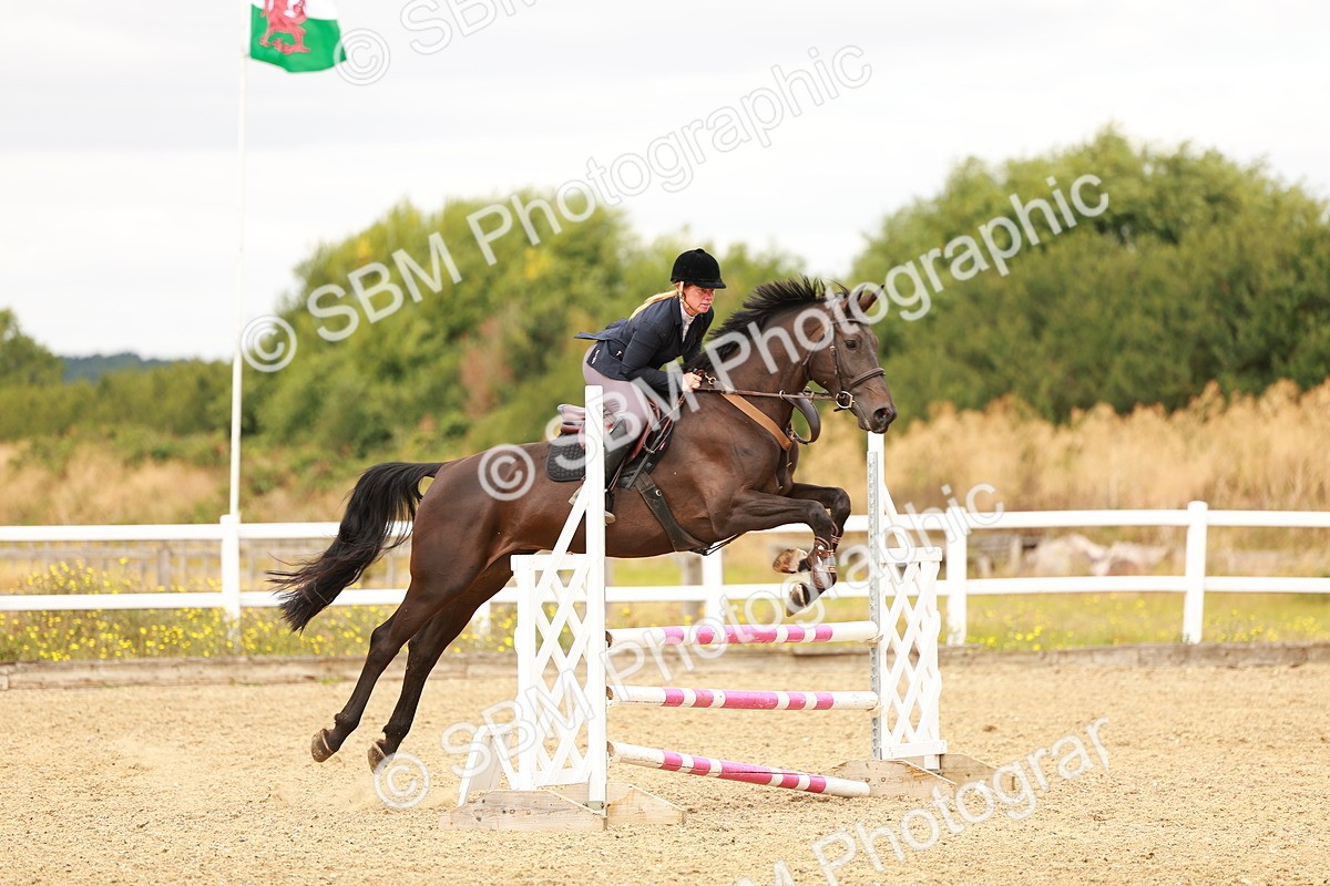 SBM_005187 - Class 2 - Senior British Novice - 90cm