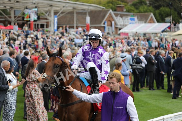 yr18082022r2-12 - Race 2 2.25pm Goffs UK Harry Beeby Premier Yearling Stakes