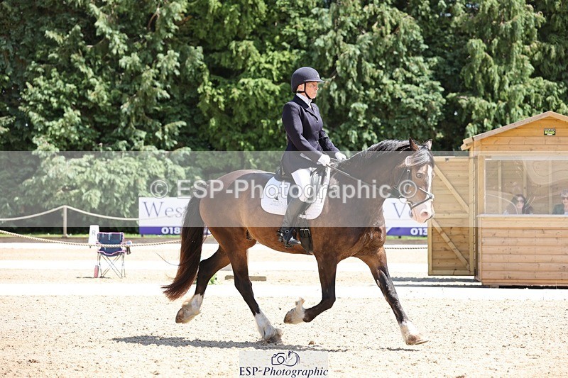 240721-132746-08807 - 176-Amanda_Williams-Llanarth_Westminster