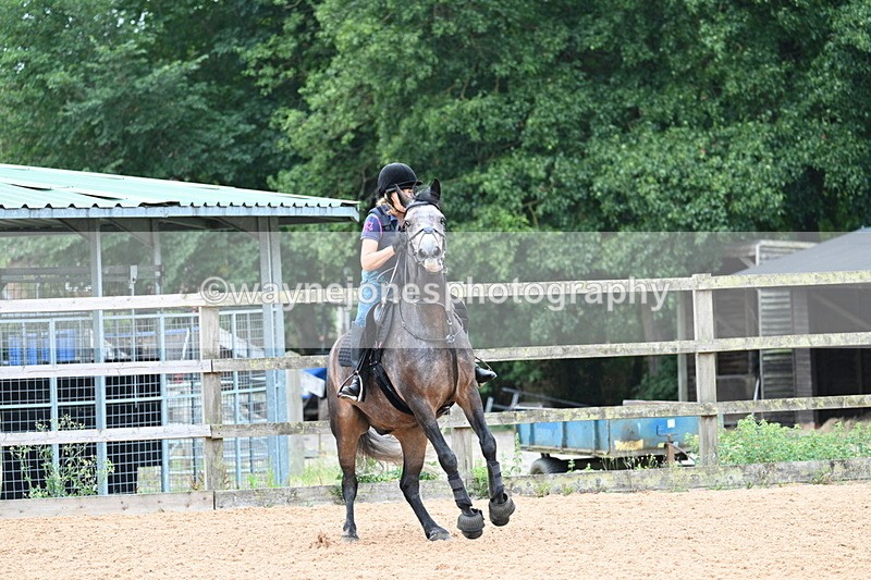 WJ7_7558 - Poles 10:00am