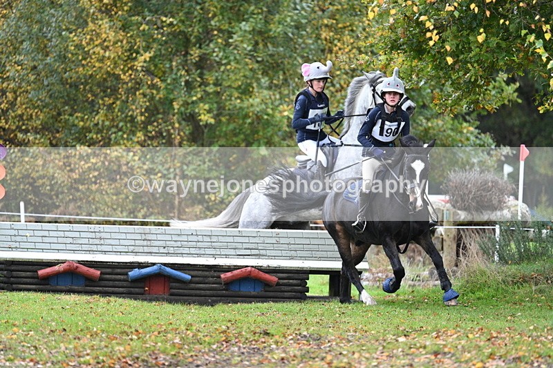 WJ7_2098 - 80cm Cam 2 Pairs Time 12:18 to 12:43