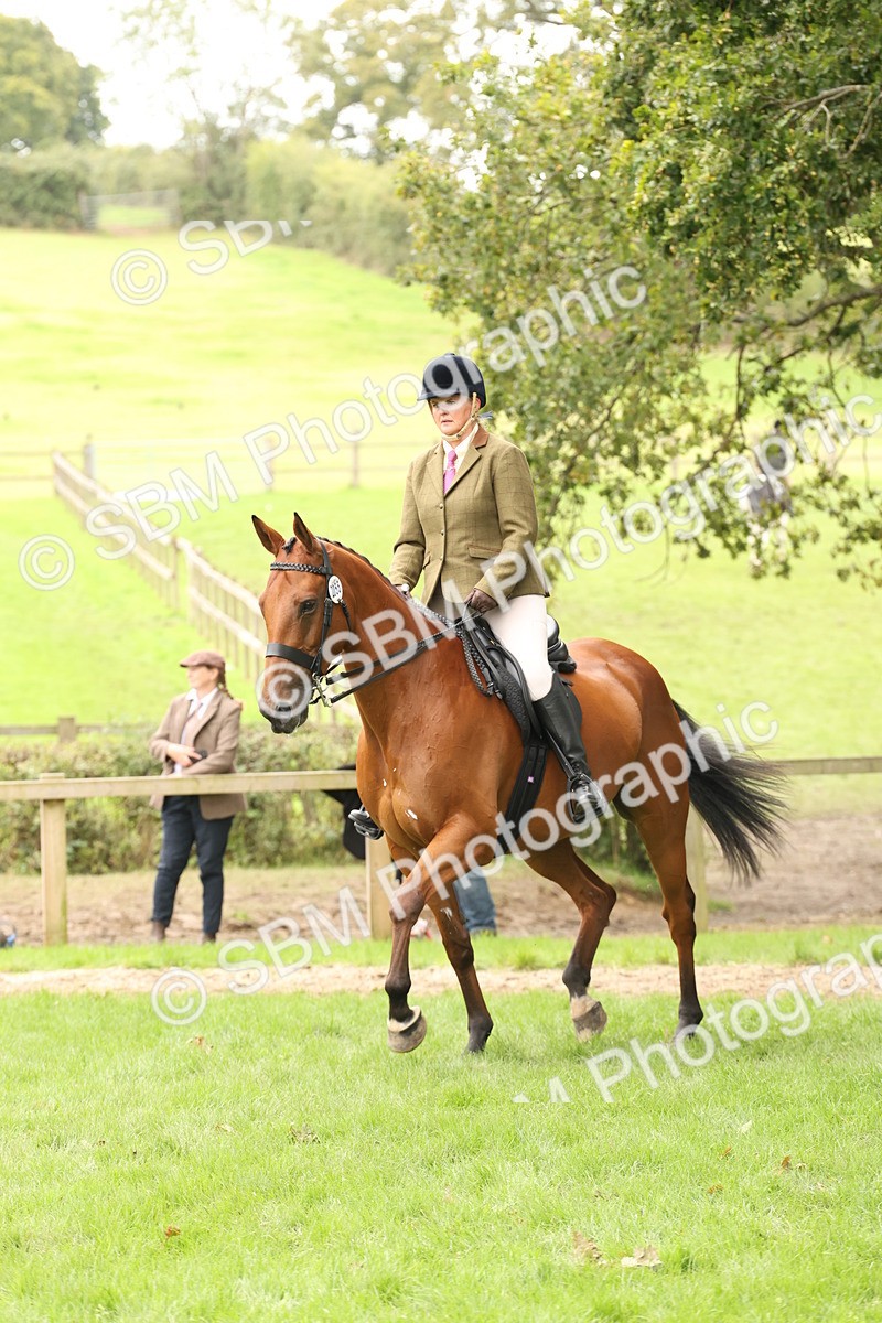 SBM_66321 - S66 - Hunter Ridden