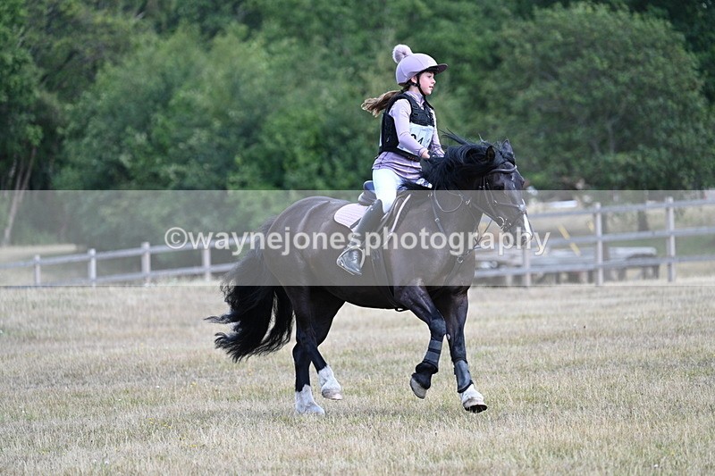 WJ7_1000 - 60cm Time 12:47 to 12:53