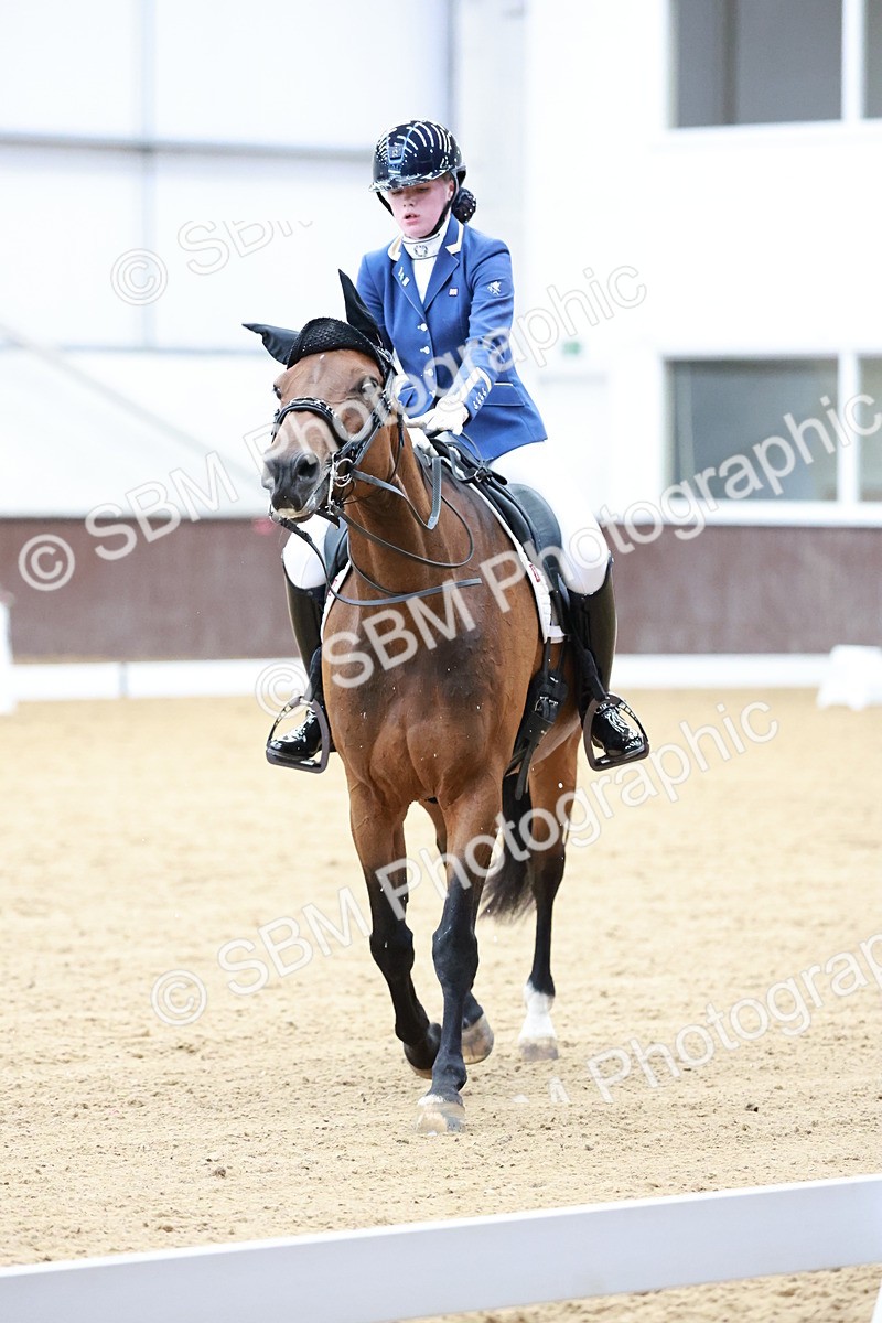 SBM_017902 - Class 15 - FEI Junior
