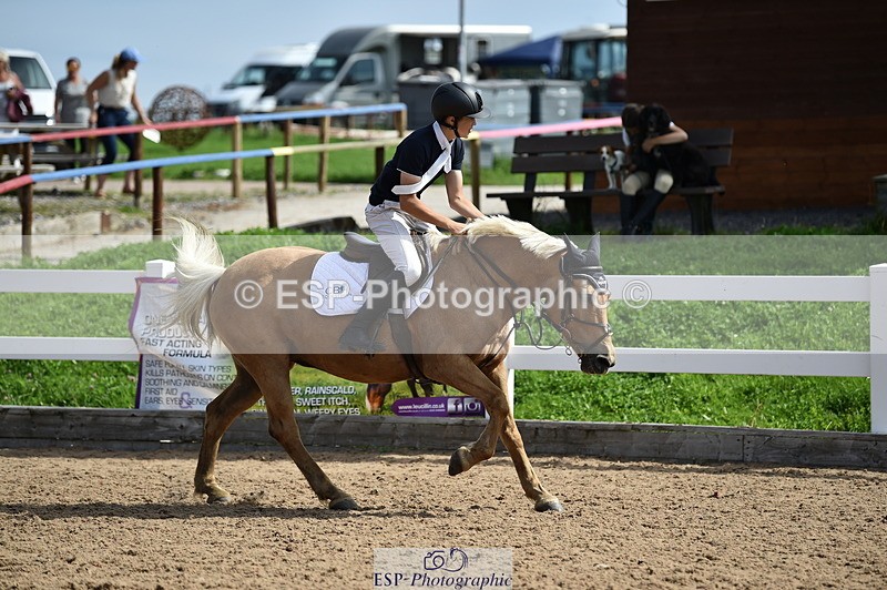 230903A-120510-04369 - Cls 19 Pony Discovery & 90cm Open