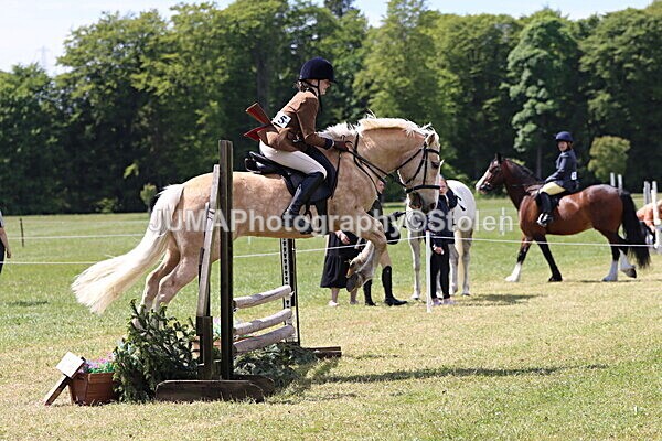 IMG_3656 - Working Hunter
