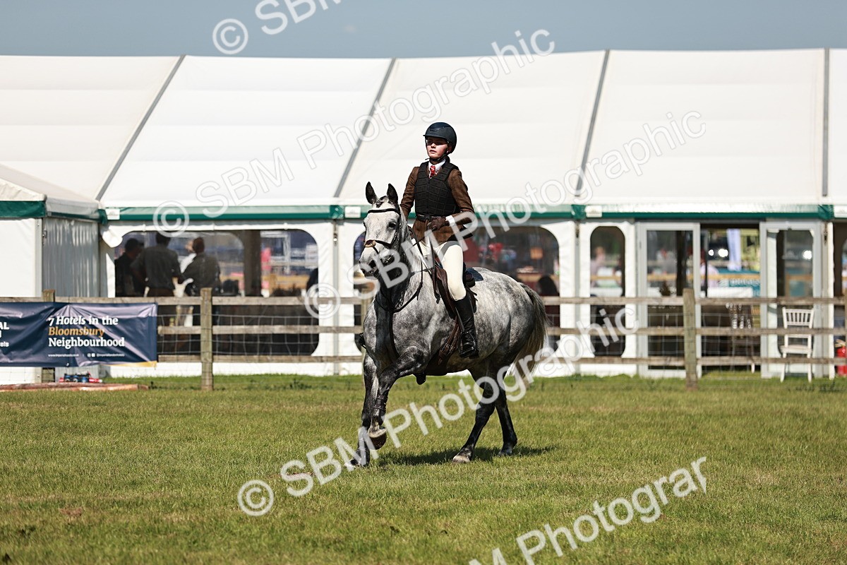 SBM_18374 - Class 112-113 - BSPS LIHS Working Sports Pony