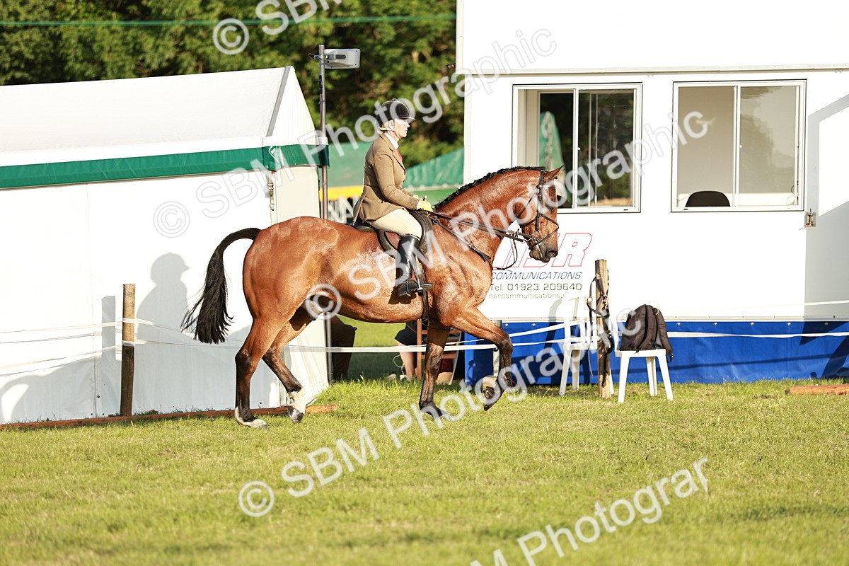 SBM_20436 - Class 117-119 - Sport Horse Working Hunter