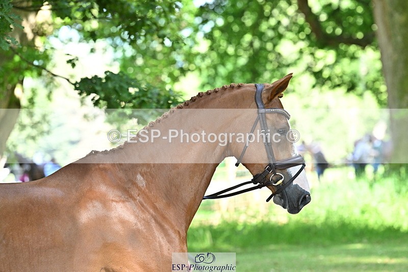 250521A-160231-00880 - C-227-Jonelle.Price-I.LIKE.IT.DE.ROHAN