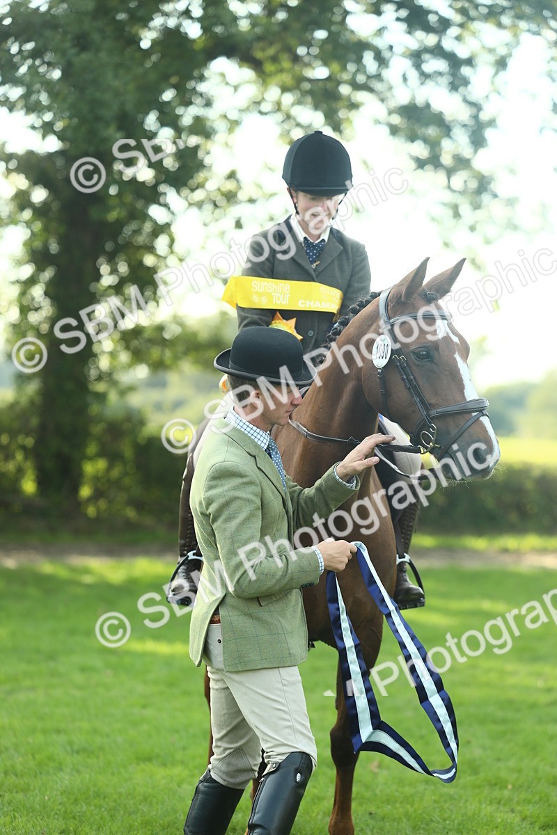 SBM_52287 - Working Hunter Supreme Championship