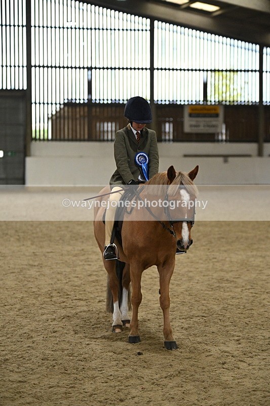 WJ7_4629 - Afternoon Champs