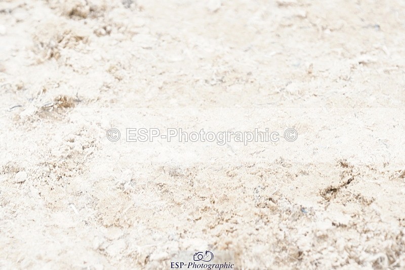 250420A-121536-00720 - Cls 03 80cm