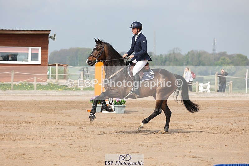 250424-103802-03139 - Cls 33 Young Horse 7yr old