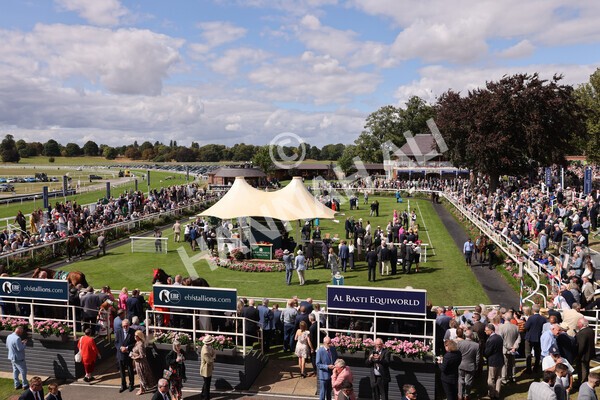 yr19082022r2-11 - Race 2 2.25pm Weatherbys Hamilton Lonsdale Cup (British Champions Series Race)