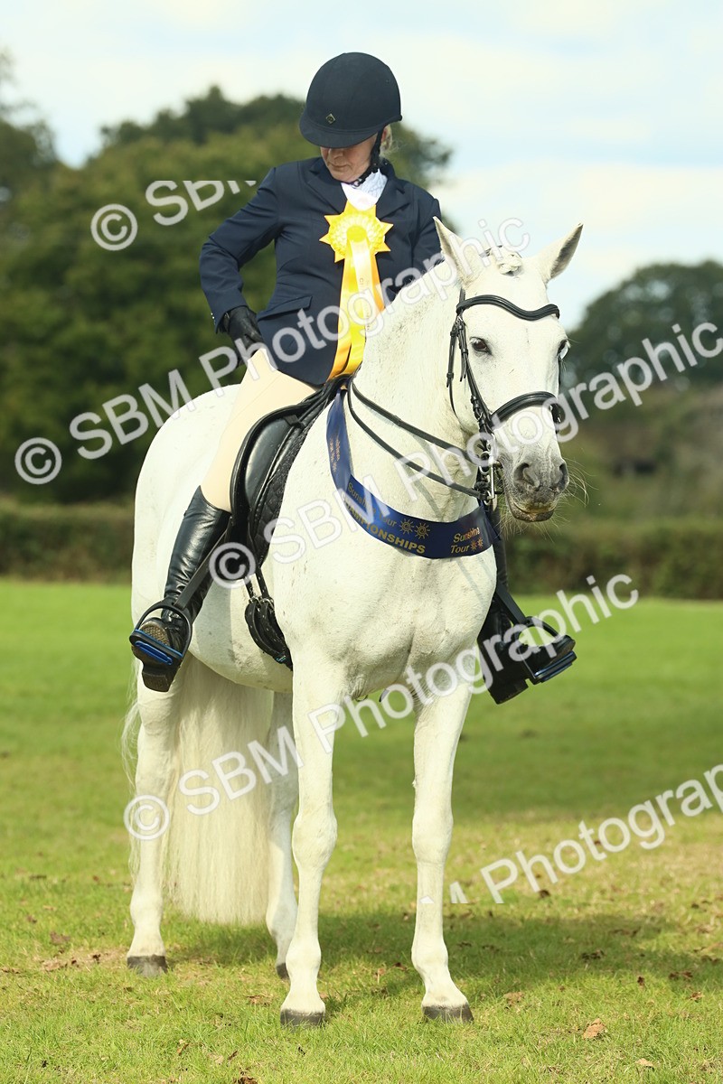 SBM_62532 - S62 - Foreign Breeds Ridden