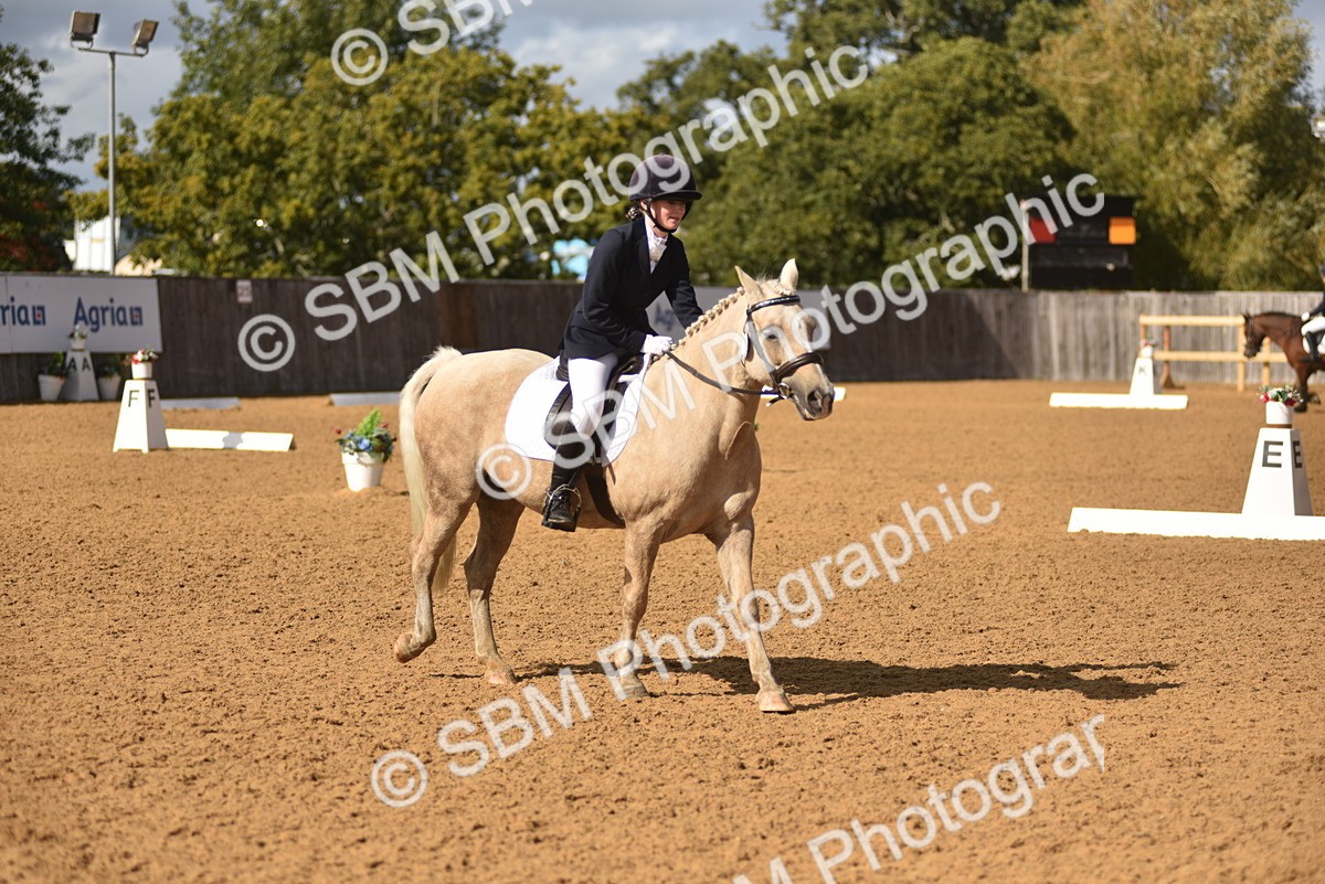 SBM_48783 - D22 - Junior Championship Intro 3