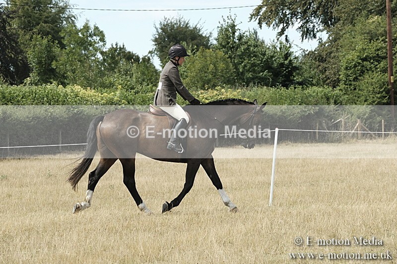 _PJP6056 - BVRC Show 2018 Ring 1